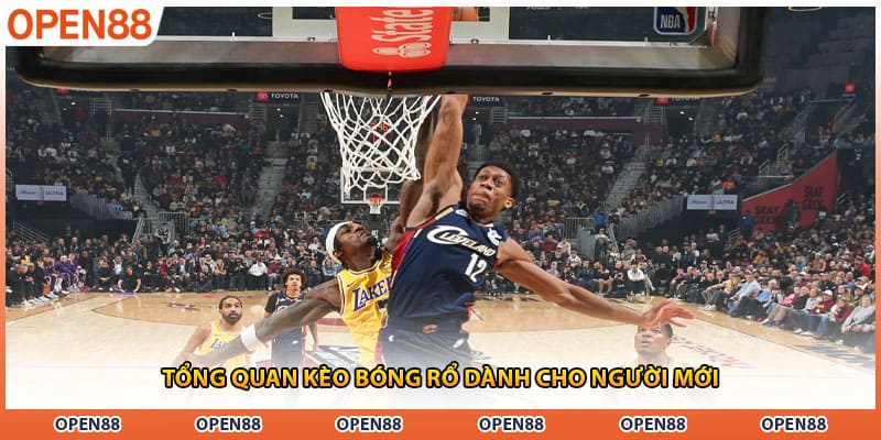 Tổng quan kèo bóng rổ dành cho người mới